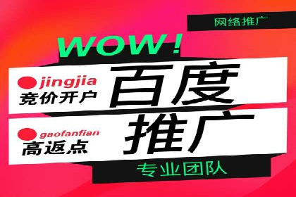 某企业通过百度推广竞价实现品牌快速崛起